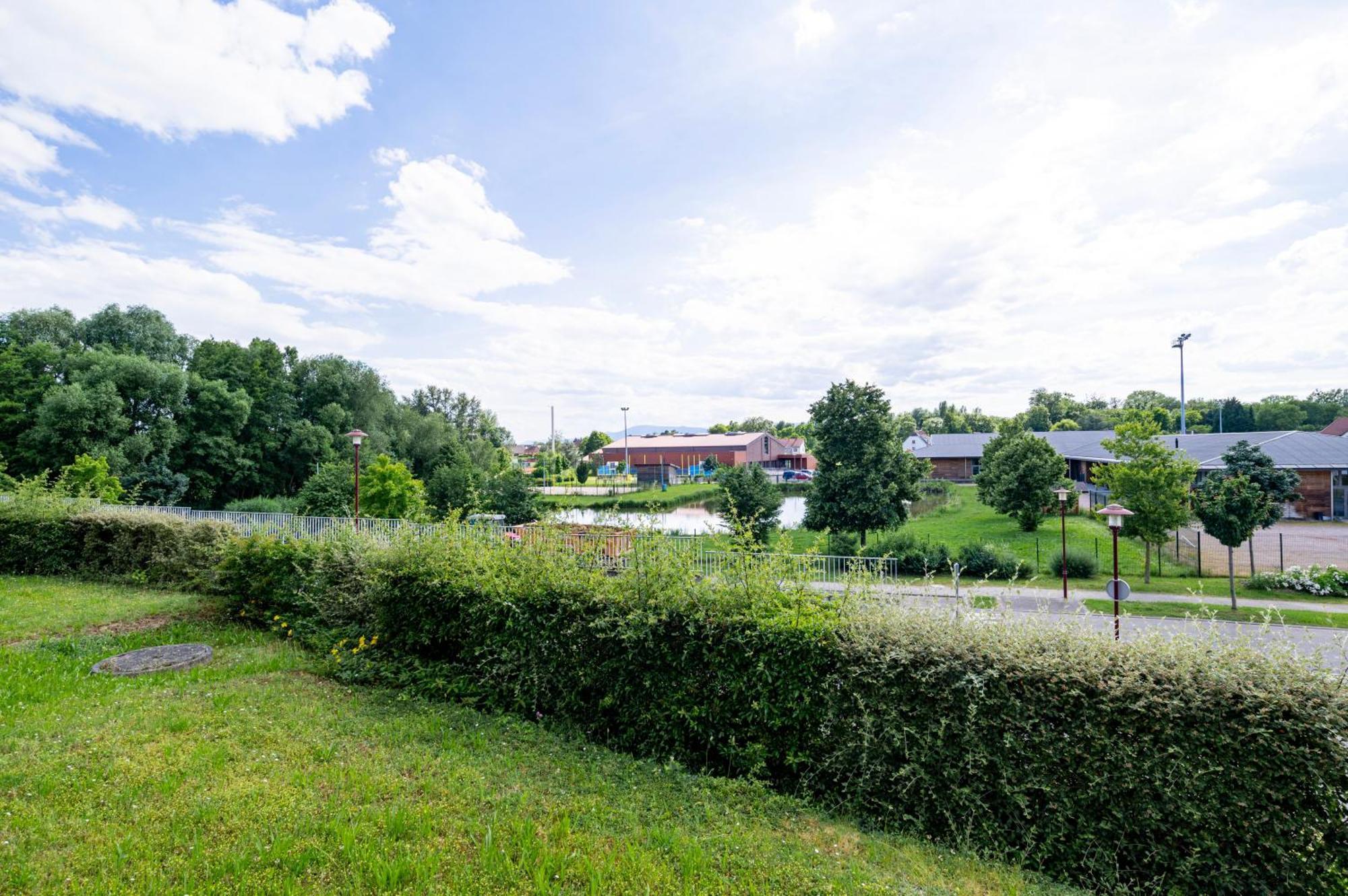 Apartamento Chez Virgil - Terrasse Vue Degagee, Parking Prive Ernolsheim-Bruche Exterior foto